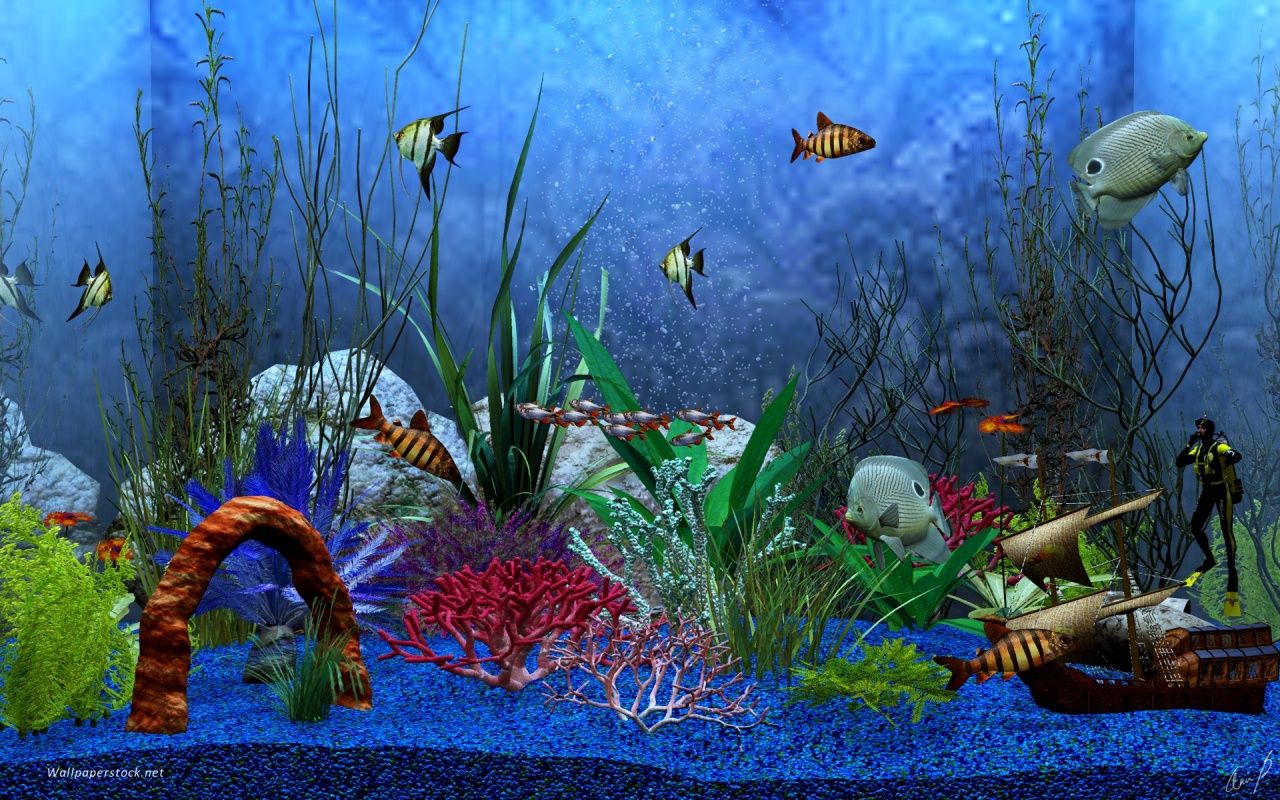 Download Screensaver Aquarium 3d Gratis Image Num 63
